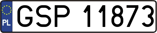 GSP11873
