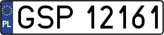 GSP12161