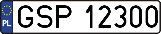 GSP12300