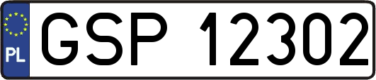 GSP12302