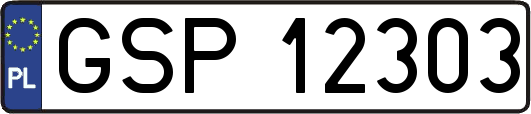 GSP12303