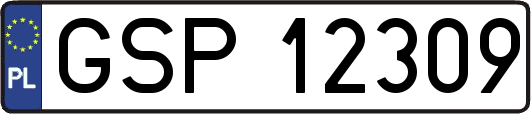 GSP12309