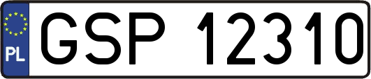 GSP12310