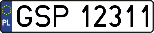 GSP12311