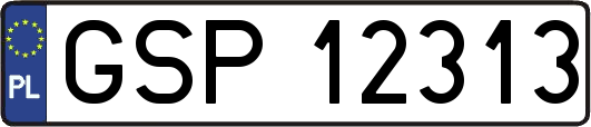 GSP12313