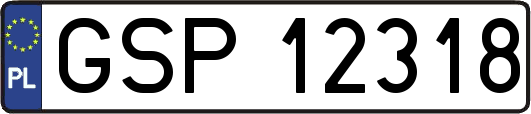 GSP12318
