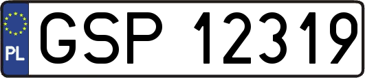 GSP12319