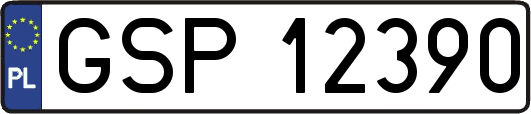 GSP12390