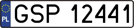 GSP12441