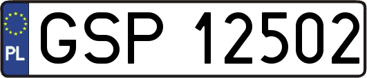 GSP12502