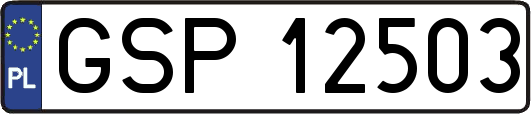 GSP12503