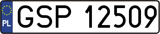 GSP12509