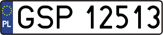 GSP12513