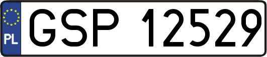 GSP12529