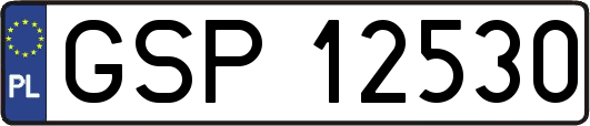 GSP12530