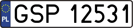 GSP12531