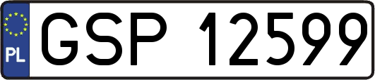 GSP12599