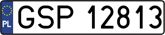 GSP12813
