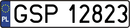 GSP12823