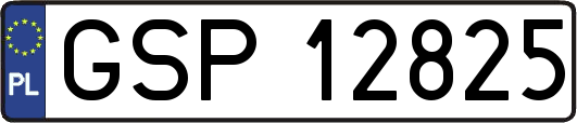 GSP12825