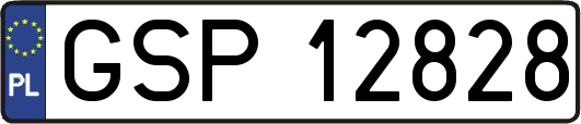 GSP12828