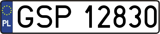GSP12830