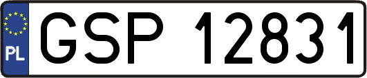 GSP12831