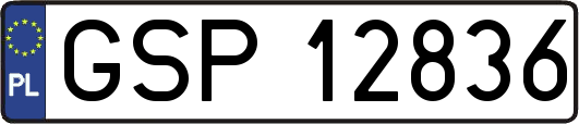 GSP12836