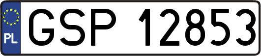 GSP12853