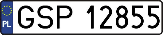 GSP12855