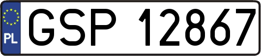 GSP12867