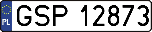 GSP12873