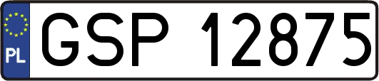 GSP12875