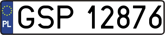 GSP12876