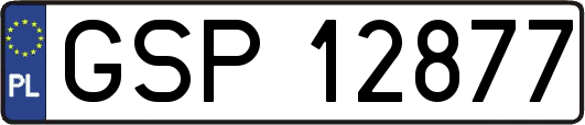 GSP12877
