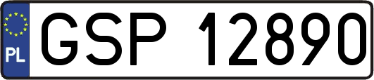 GSP12890