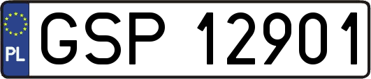 GSP12901