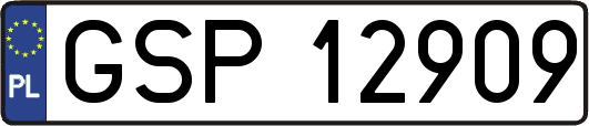 GSP12909