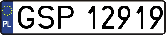 GSP12919