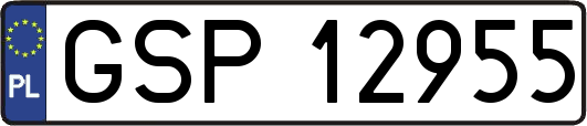 GSP12955