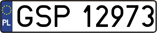 GSP12973