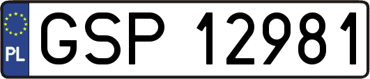 GSP12981