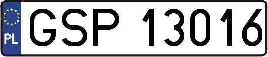 GSP13016