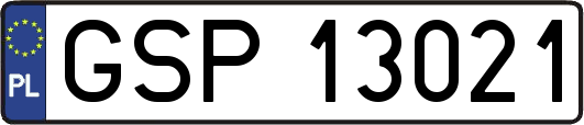 GSP13021