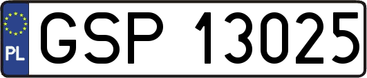 GSP13025