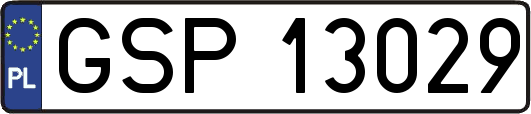 GSP13029