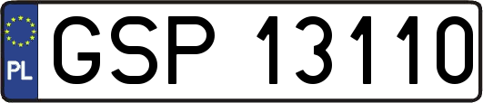 GSP13110
