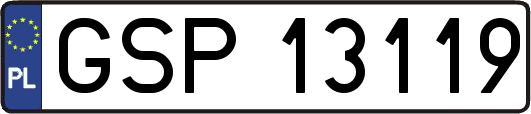 GSP13119