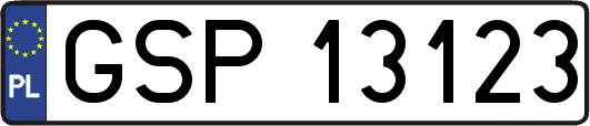 GSP13123