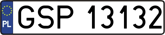 GSP13132